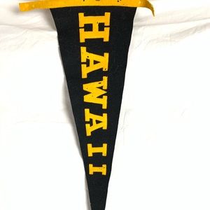 Vintage wool Hawaii banner
